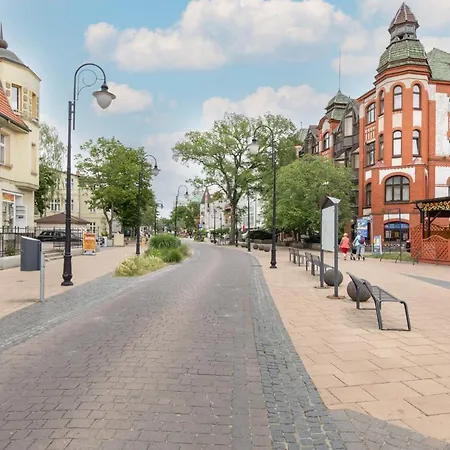 Kormoran By Renters *